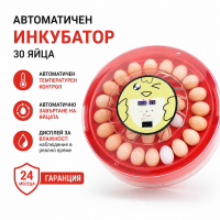 Автоматичен инкубатор за 30 яйца