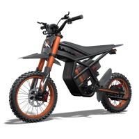 Електрически мотор Riding Times GT54 - 2000W