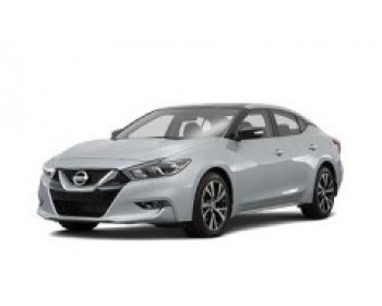 Nissan Maxima A36 (2015-2023)