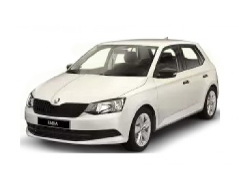 Skoda Fabia NJ (2014-2022)